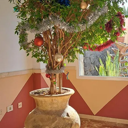 Casa Bonita * 팔름-마르