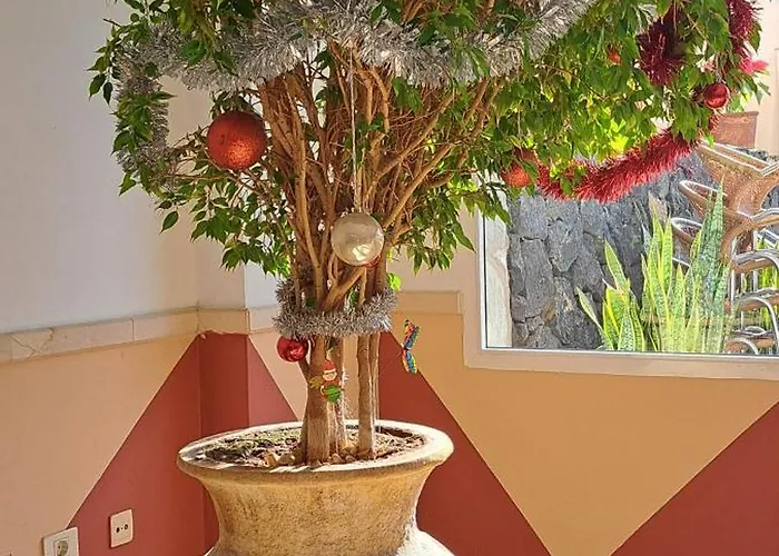 Casa Bonita * 팔름-마르