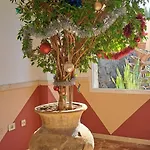 Casa Bonita * Palm-mar