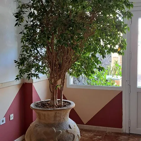 Casa Bonita Lejlighed Palm-mar