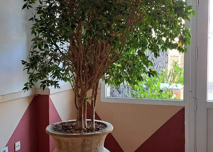 Casa Bonita Lejlighed Palm-mar